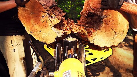 POV: Cutting a LOT of firewood