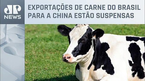 Especialistas adotam cautela após caso de ‘vaca louca’