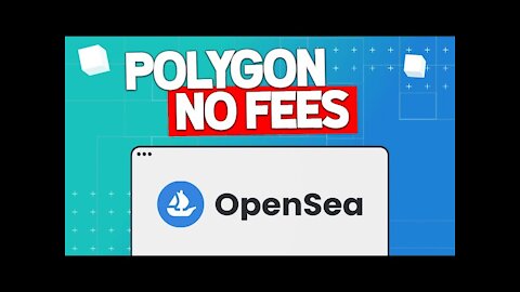 Tutorial: How to buy Polygon NFTs on OpenSea
