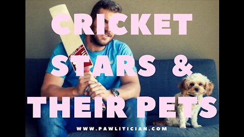 Cricket Stars and Their Pets