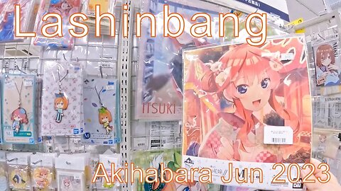 Lashinbang Akihabara AKIBA CULTURES ZONE Jun 2023 らしんばん秋葉原店 AKIBAカルチャーズZONE 2023年6月 Part 2 of 3