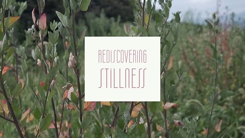 Rediscovering Stillness | Now