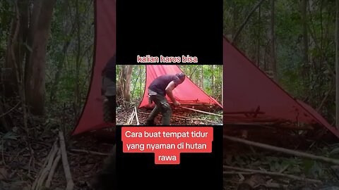 survival bushcraft #bushcraft #camping #alone #asmr #forest #outdoors #shorts