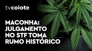 Maconha: Julgamento no STF toma rumo histórico com voto de Moraes