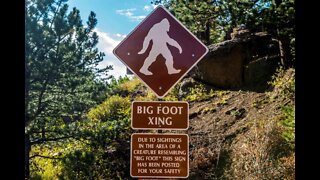 Bigfoot Was Discovered