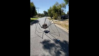 ARAÑA GIGANTE CORRER! Ya tienes MIEDO? Las arañas grandes existieron en el pasado.