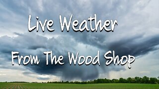 Live Weather From the Wood Shop NOV 28 2022 #weatherwatch #weather