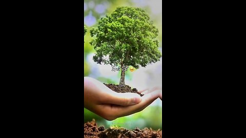 Eco-Awakening: World Environment Day Celebrations on June 5th🌲🌳🌴🍀🪴🌿☘️🌱💐🍃