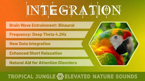 INTEGRATION Tropical Jungle Binaural 4.2Hz Super-Learning Relaxation