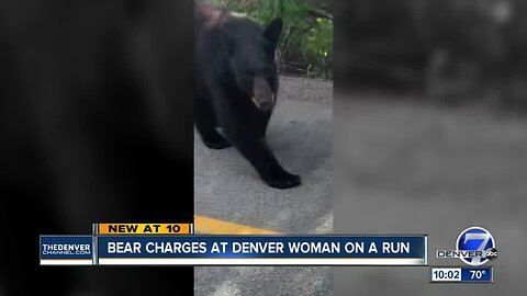 Colorado woman captures the moment a bear charged her during vacation in Canada