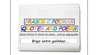 Notícias engraçadas: Briga entre galinhas... [Frases e Poemas]