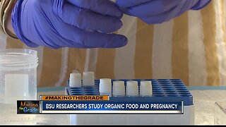 BSU researchers study organic food effects on pregnancy