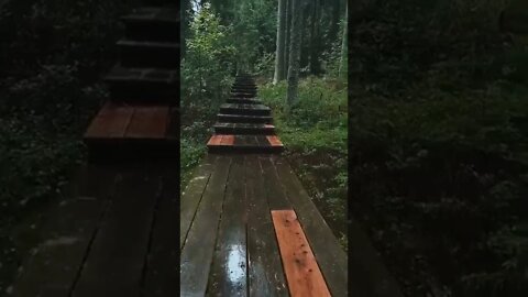 Rainy Day In The Woods tiktok deee nice