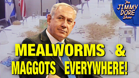 Protesters Release BUGS All Over Netanyahu’s Hotel!