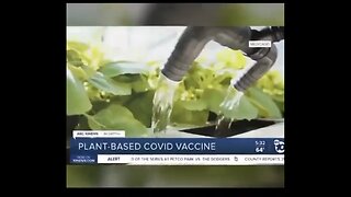 Plant based COVID vaxx now?