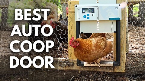 This Makes Raising Free Range Chickens Easy!