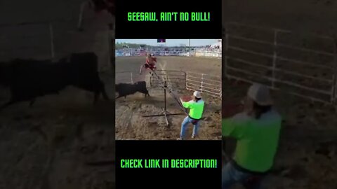 See Saw Ain't No Bull! Amazing Compilations! #Shorts #YoutubeShorts #ExtremeSports #SeeSaw #Bulls