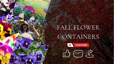 Fall Flower Containers | Finishing Up The Front Garden