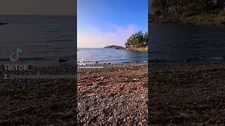 Beachcomber provincial park is an awesome place to just chill. #soothingsounds #nature #oceanwaves