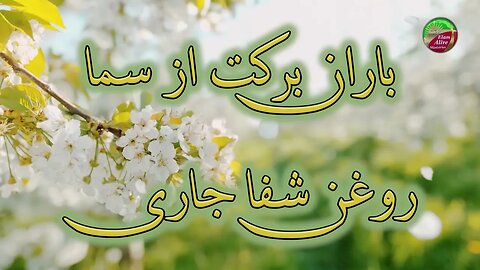 Rooholghodos | روح القدس