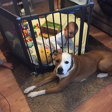 Baby and dog hug and share kisses