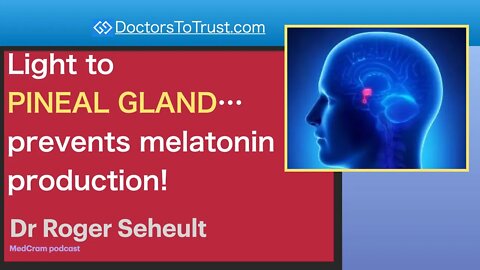 SUNLIGHT 2 | Light to PINEAL GLAND…prevents melatonin production!