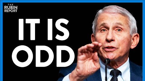 Fauci Struggles to Deflect as Brave Reporter Confronts Him On Lab Leak | DM CLIPS | Rubin Report