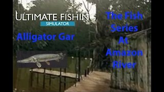 Ultimate Fishing Simulator: The Fish - Amazon River - Alligator Gar - [00090]