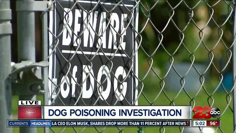East Bakersfield neighborhood believes dogs were intentionally poisoned