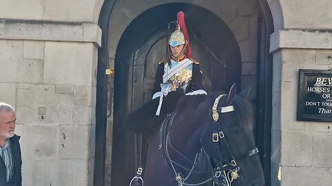 Police warning tourist not to touch the reins #horseguardsparade