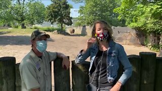 Mel Camp visits the Buffalo Zoo Part 2