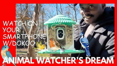 Dokoo Bird Feeder with Wifi Camera