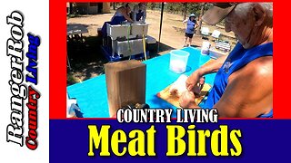 The Homestead Community Life: Processing Our Meat Chickens Together