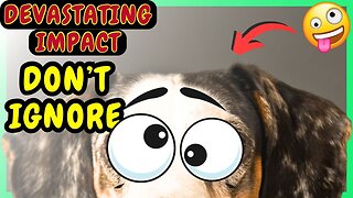 THE DEVASTATING IMPACT OF IGNORING YOUR DOG'S MENTAL STIMULATION!