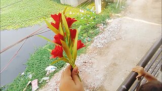 Unique Paper Flower Making Idea || Handmade Paper Flower For Room Decoration