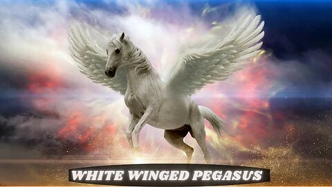 WHITE SUN PEGASUS WORLD ~ Wings ~ Venus and Jupiter Align ~ The Forces Of Light Ensure Victory!