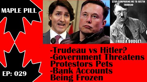 Maple Pill Ep 029 - Elon Musk and Justin Trudeau vs Hitler? Canadian Bank Accounts Being Frozen...