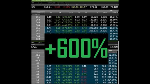 $SAVA & $SPY PUTS UP 700%. JOIN THE DISCORD