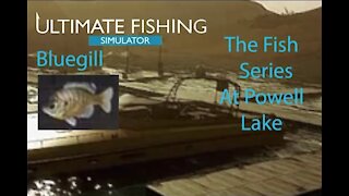 Ultimate Fishing Simulator: The Fish - Powell Lake - Bluegill - [00009]
