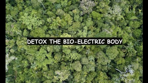 Detox the bio-electric body