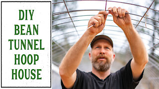 HOW TO MAKE A DIY BEAN TUNNEL (OR HOOP HOUSE)