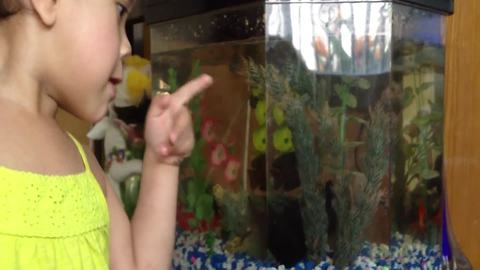 A Little Girl Tot Struggles To Say The Word "Fish"