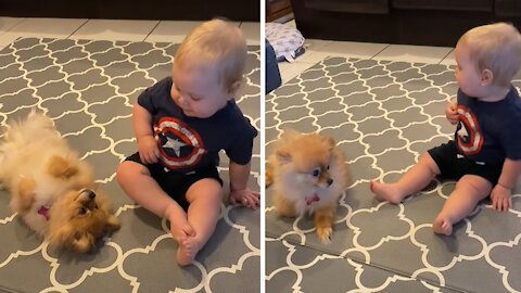 Baby And Puppy Already Share An Incredible Bond