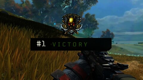 My Call of Duty Black Ops 4 Blackout Experience