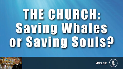 25 Jun 24, The Bishop Strickland Hour: The Church: Saving Whales or Saving Souls?