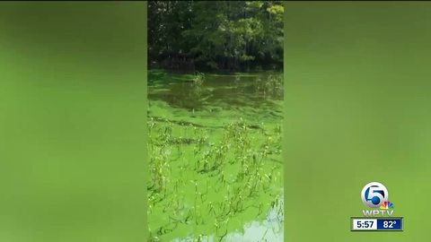 Indian River County leaders address lake pollution
