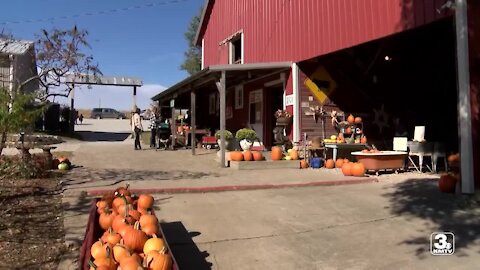 Bloom Where You're Planted Farm offers traditional farm fun, smaller crowd