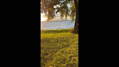 Minnesota Lakes in August