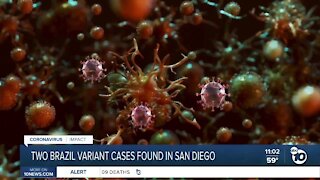 Brazilian strain of COVID-19 detected in San Diego County