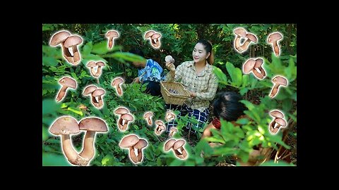 Mushroom Seasoning in my country side | Bitter Mushroom Curry | Sros Yummy Cooking Vlogs